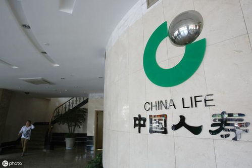 中國人壽保險.集團上線轉拍網