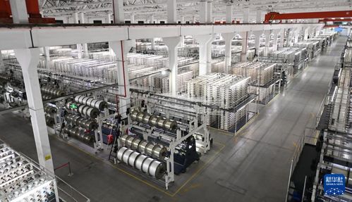 活力中國(guó)調(diào)研行 福建 向 新 逐 智 ,傳統(tǒng)產(chǎn)業(yè)長(zhǎng) 新枝